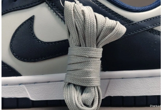 Low Georgetown Nike CW1590-004 Dunk 1005